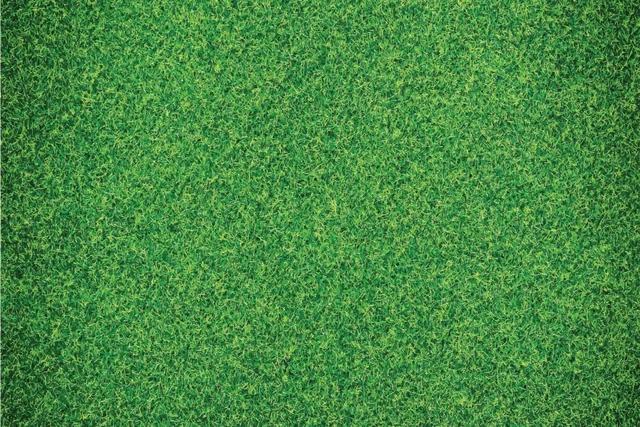 Grass photo booth backdrop